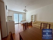 Pronájem bytu 1+kk s velkou terasou, cena 20000 CZK / objekt / měsíc, nabízí 
