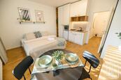 Stylový apartmán 1+kk o rozloze 28m2 kousek od centra Brna, cena 20990 CZK / objekt / měsíc, nabízí GLJ Partners