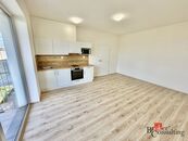BYT 1+KK, 32 M2, KŘENOVÁ 551/43, 60200, cena 15000 CZK / objekt / měsíc, nabízí Realityspolu