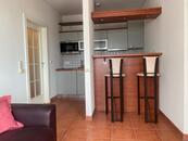 Pronájem bytu 1+kk přímo na ulici Česká v centru města, cena 17000 CZK / objekt / měsíc, nabízí 