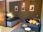 Pronájem bytu 1+kk 39 m, Brno - Zábrdovice, cena 17000 CZK / objekt / měsíc, nabízí ZAJEDNO reality