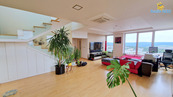 Prodej mezonetového bytu 4+kk + bar, 15.P, 446 m2, Majdalenky, Brno - Lesná, cena 41000000 CZK / objekt, nabízí 