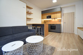 Pronájem bytu 1+kk, Přadlácká, Zábrdovice, 28 m2, cena 16500 CZK / objekt / měsíc, nabízí Ideální nájemce