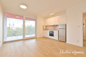 Pronájem bytu 1+kk, Auerswaldova, Zábrdovice, 15 900 Kč/měs, 29 m2, cena 15900 CZK / objekt / měsíc, nabízí Ideální nájemce