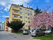 Pronájem, Byt 2+kk, Brno, cena 17000 CZK / objekt / měsíc, nabízí Realitní kancelář David Holub