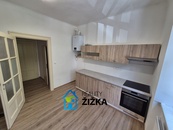 Pronájem bytu 1+1 47 m2, Burešova, Brno - Veveří, cena 22000 CZK / objekt / měsíc, nabízí 