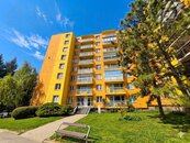 Prodej, Byt 1+kk, Brno, cena 4719220 CZK / objekt, nabízí Alva Real