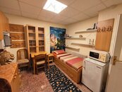 Pronájem, Byt 1+kk, Brno, cena 6000 CZK / objekt / měsíc, nabízí 
