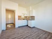 PRODEJ BYTU 2+KK PO REKONSTRUKCI A S PARKOVÁNÍM - BRNO, UL. KONEČNÉHO, cena 4750000 CZK / objekt, nabízí 